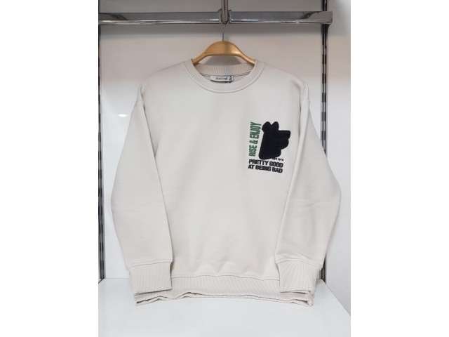 * 10-15 Yaş Erkek Çocuk Pretty Sweatshirt